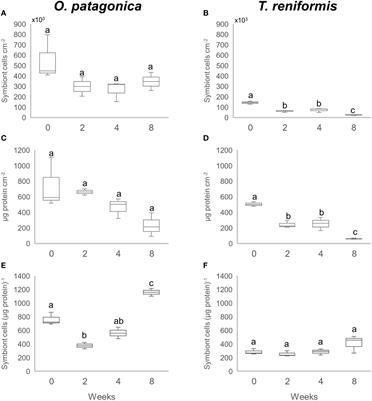 Symbiont starvation affects the stability of the coral–Symbiodiniaceae symbiosis